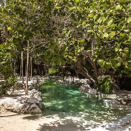 Niken Beachfront Tulum Hotel Exterior foto