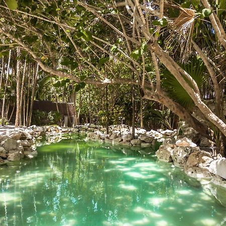 Niken Beachfront Tulum Hotel Exterior foto