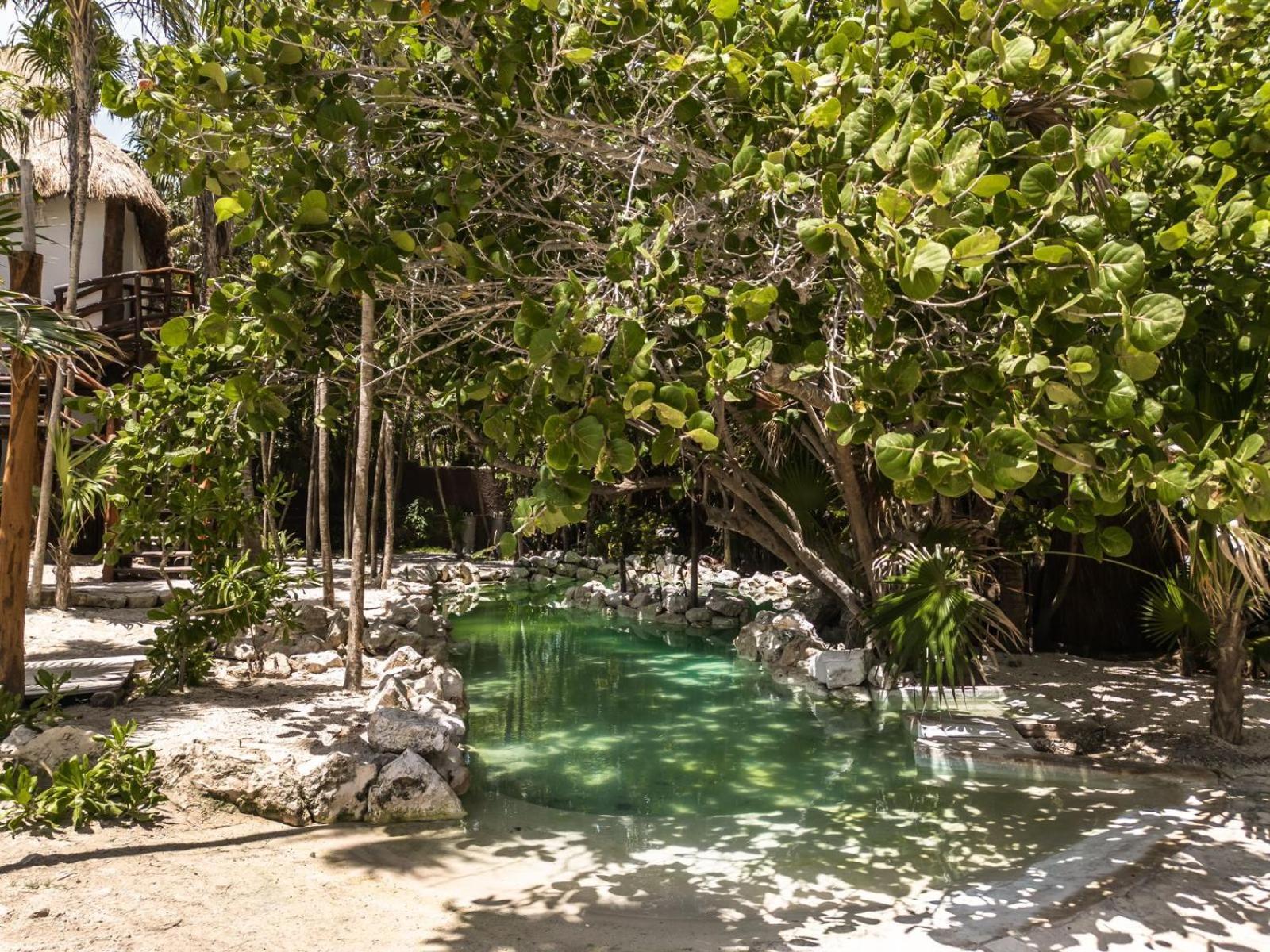 Niken Beachfront Tulum Hotel Exterior foto